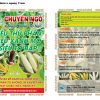 PHÂN BÓN CHUYÊN DÙNG CHO NGÔ, SIÊU THỤ PHẤN, SIÊU TO BẮP