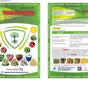 MEN VI SINH BTX, HẠN CHẾ VÀNG LÁ, THỐI RỄ, HÉO CÂY, ĐỀ KHÁNG NẤM